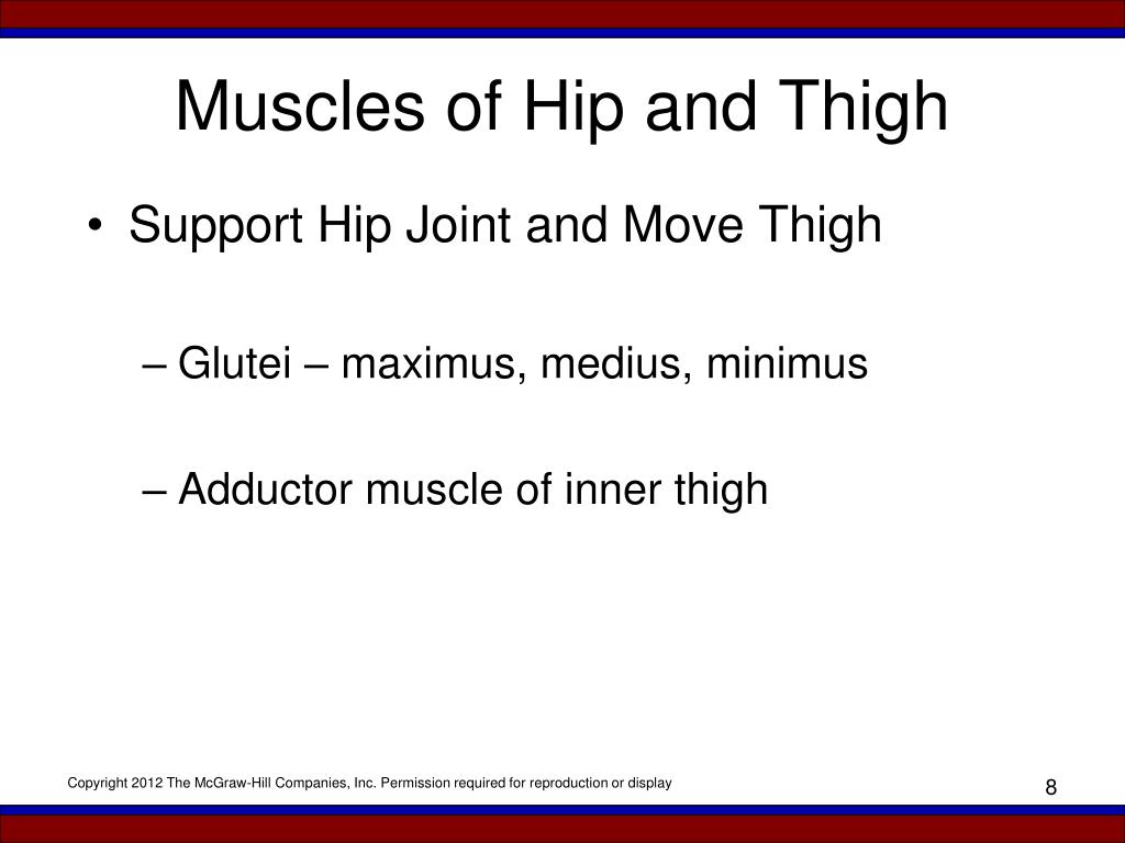 PPT - Disorders of Skeletal Muscle PowerPoint Presentation, free