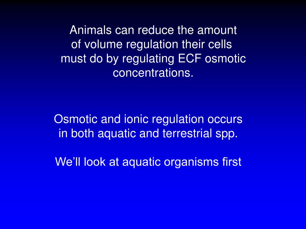 PPT - Osmotic and Ionic Regulation PowerPoint Presentation, free download -  ID:6379298