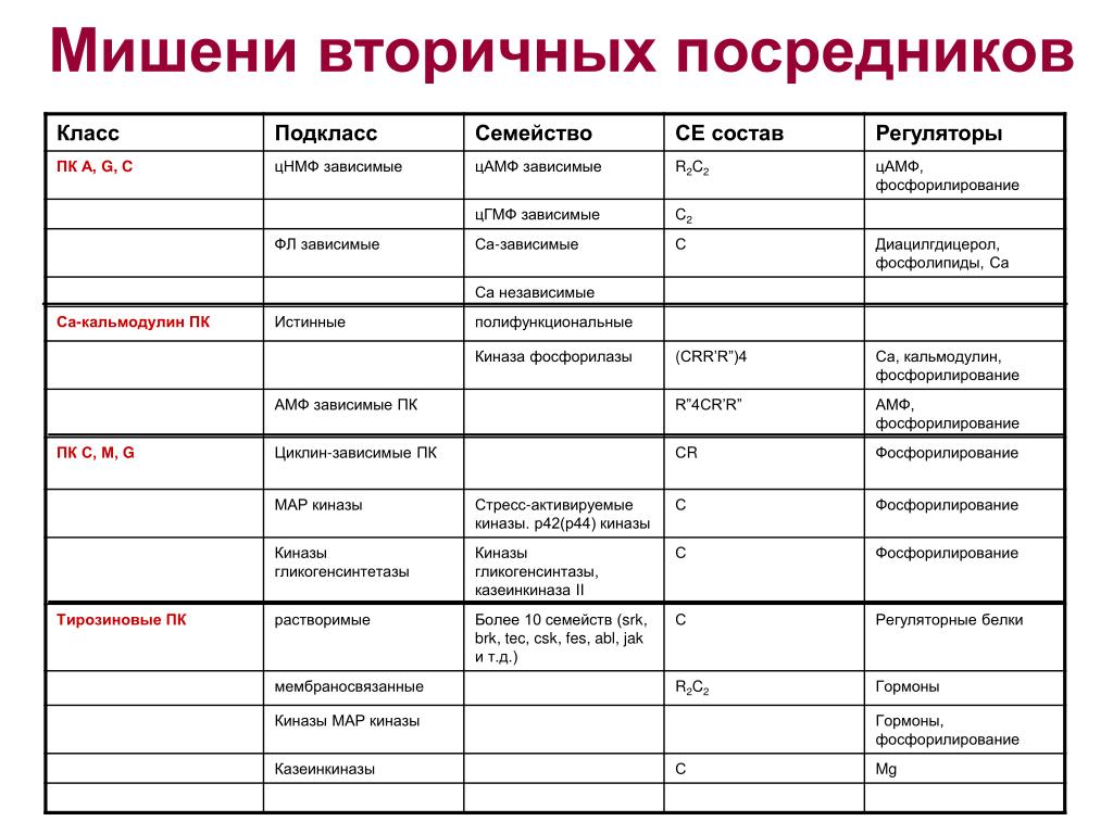 PPT - Тема 11. Управление каналами распределения PowerPoint Presentation - ID:58