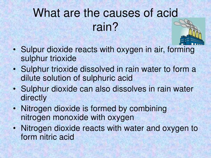 Essay Of Politics Ppt Global Issues Ozone Depletion Global Warming And Acid Rain What Are The Causes Of Acid Examples Of Formal Essays also Essay About Human Rights Essay On Acid Rain Ppt Global Issues Ozone Depletion Global Warming The Giver Essay Prompts