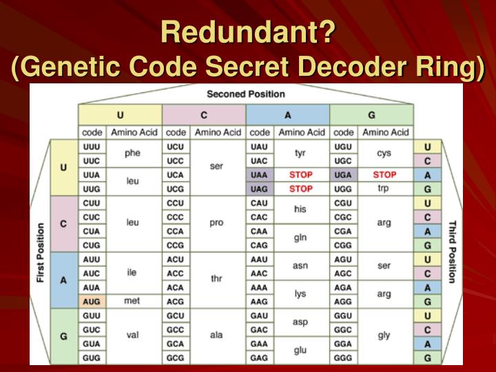 PPT Chapters 13 DNA Structure & Function Ch.14 From DNA to Protein