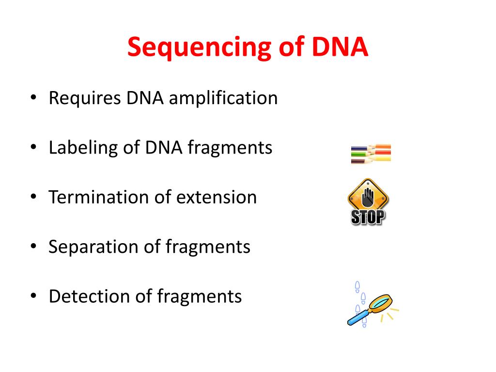 PPT - DNA Sequencing PowerPoint Presentation, free download - ID:6380480