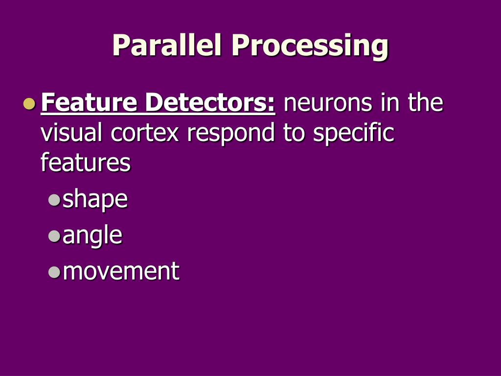 Parallel Processing Ap Psychology Definition