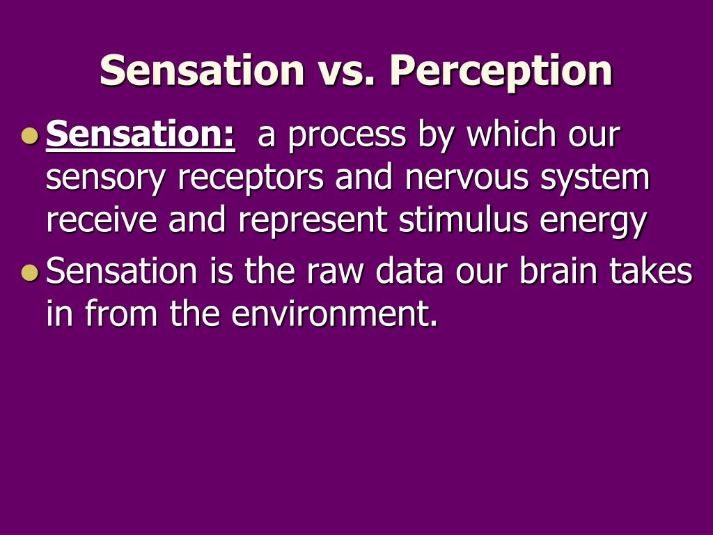 PPT - Sensation Vs. Perception PowerPoint Presentation, Free Download ...