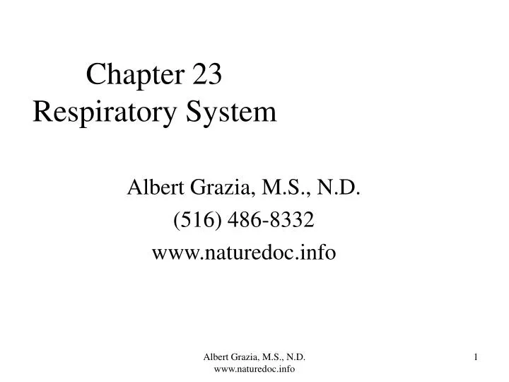 chapter 23 respiratory system n.