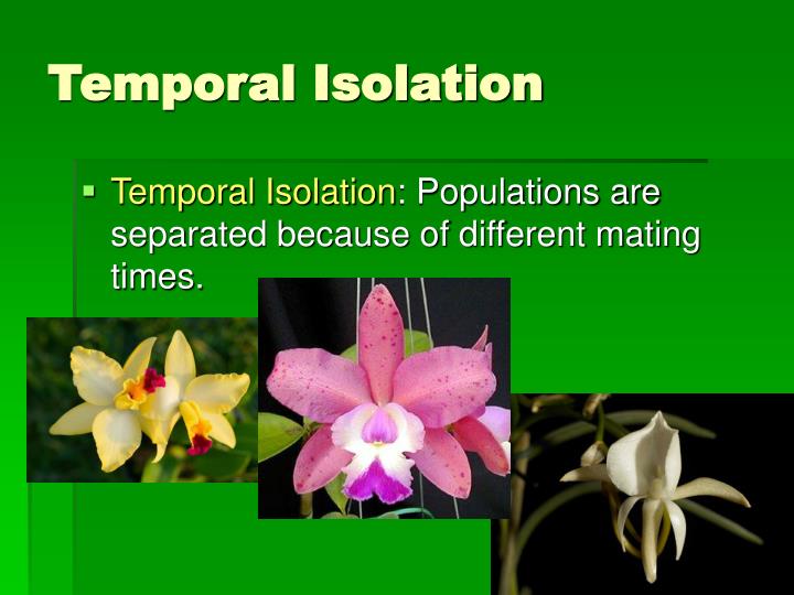 Temporal disintegration definition savermoli