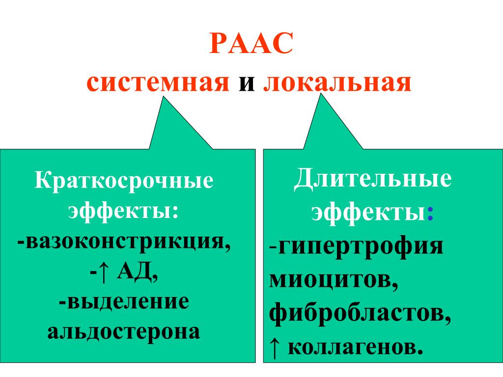 Краткосрочный эффект. PAAC система. PAAC.