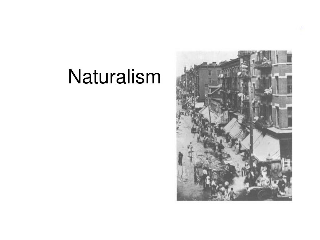 essay on naturalism