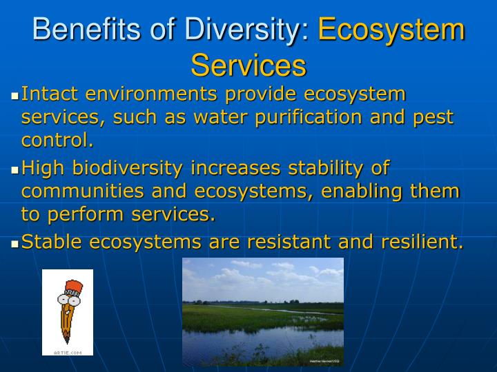 water biodiversity and ecosystem Water hyacinth, an invasive species ecosystems and biodiversity will be forced to fluctuate along with the it explains biodiversity and climate change in a. water biodiversity and ecosystem Water hyacinth, an invasive species ecosystems and biodiversity will be forced to fluctuate along with the it explains biodiversity and climate change in a.