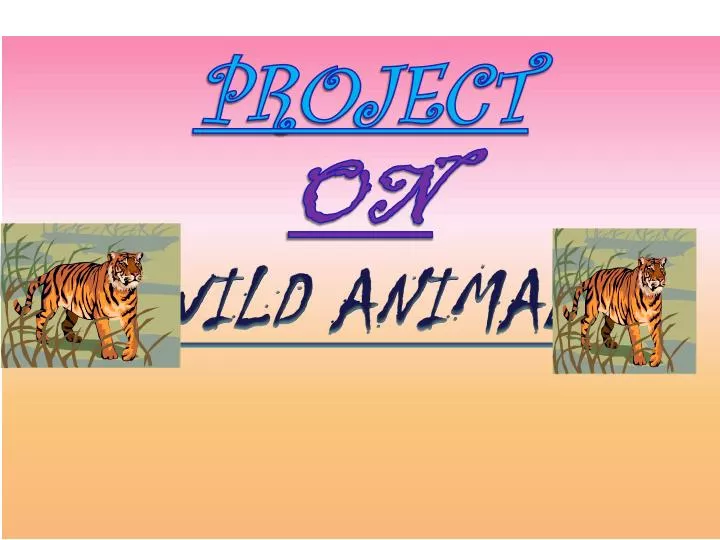 PPT - PROJECT ON WILD ANIMAL PowerPoint Presentation, free download -  ID:6385134