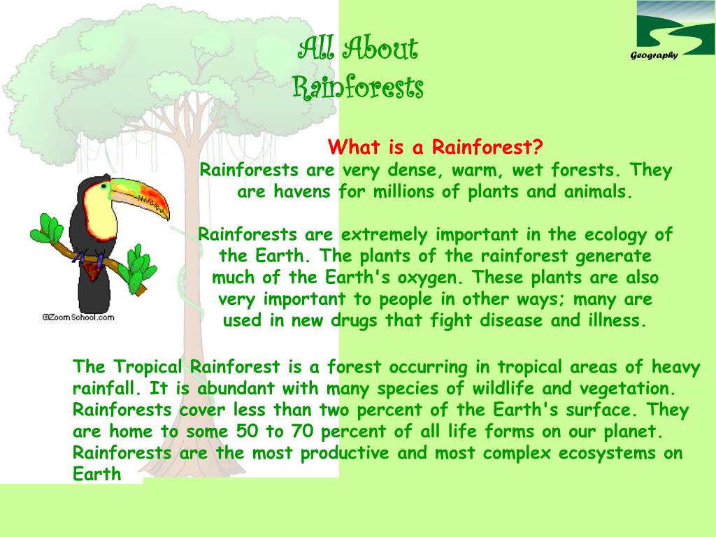 Wildlife text. What do you know about Rain Forests 4 класс. About Tropical Rainforests. Проект по английскому языку Rainforest 4 класс. Проект по английскому языку о дождевых лесах.