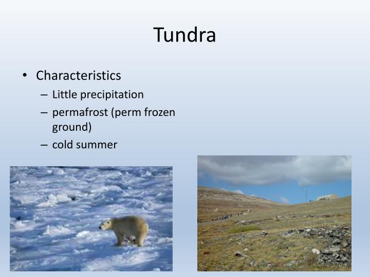 PPT - World Climates PowerPoint Presentation - ID:6386334
