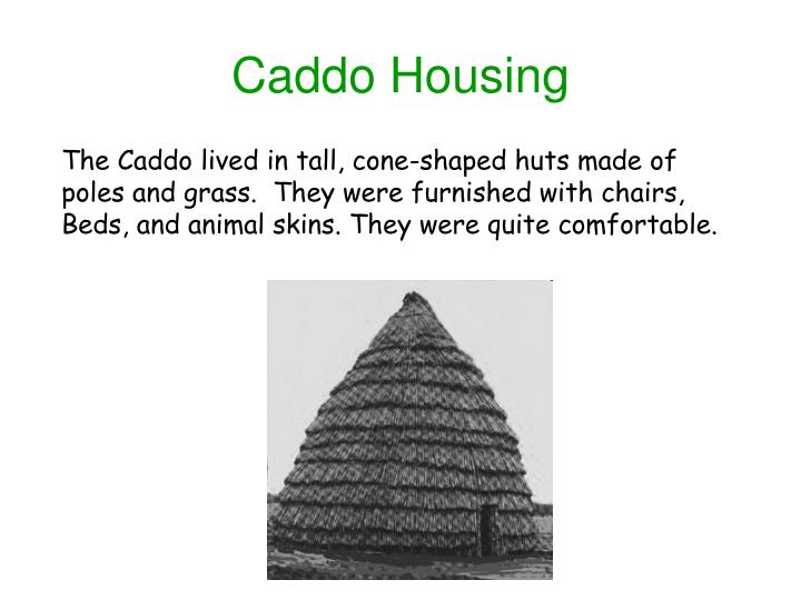 PPT Name of Tribe PowerPoint Presentation ID6386960