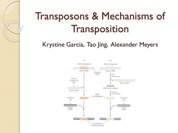 transposons mechanisms of transposition n.