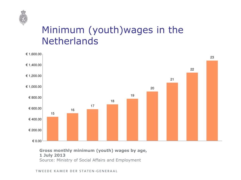 PPT Youth employment and unemployment in the Netherlands PowerPoint