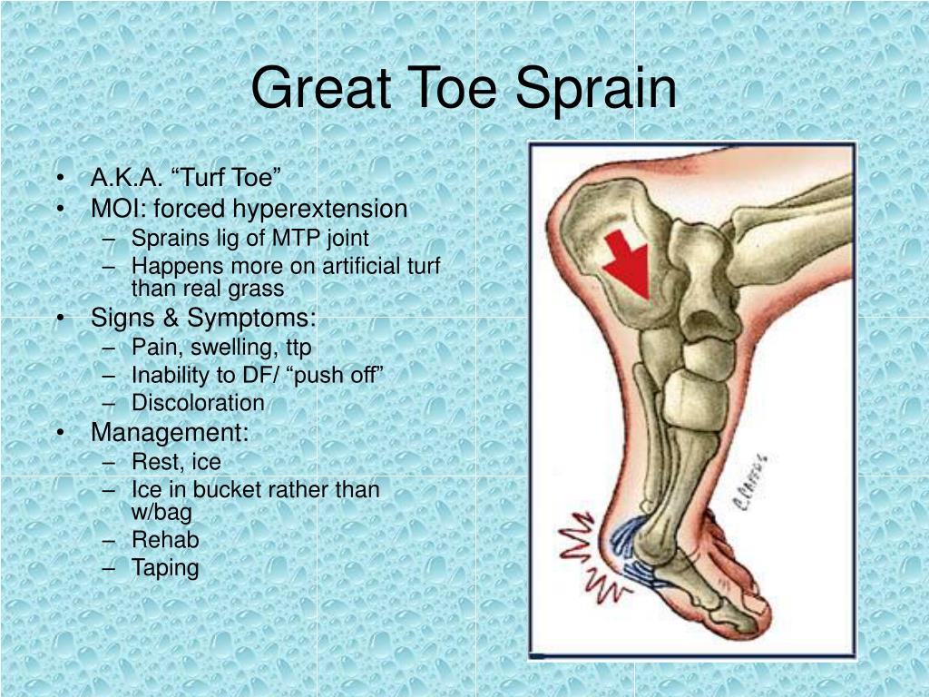 PPT FOOT ANKLE AND LOWER LEG PowerPoint Presentation Free Download 