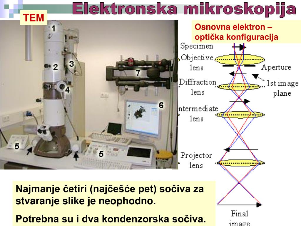 PPT - Elektronska mikroskopija PowerPoint Presentation, free download -  ID:6387999