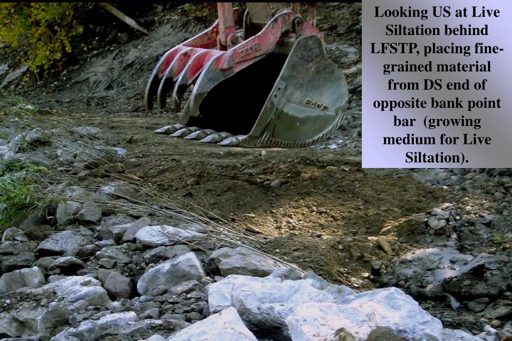 Stone Toe Protection PPT - LONGITUDINAL PEAKED STONE TOE PROTECTION {LPSTP} PowerPoint ...