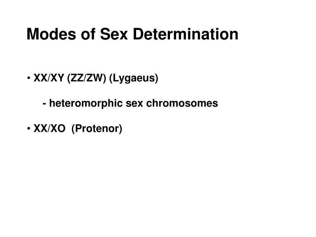 Ppt Sex Determination Powerpoint Presentation Free Download Id 6389287