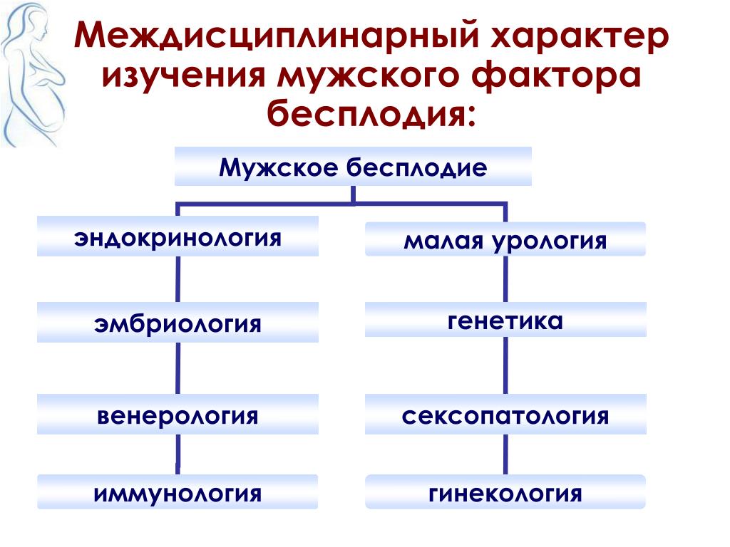 Исследование бесплодия. Мужской фактор бесплодия. Характер исследования. Мужское бесплодие клиническая эмбриология. Мужское бесплодие генетика.