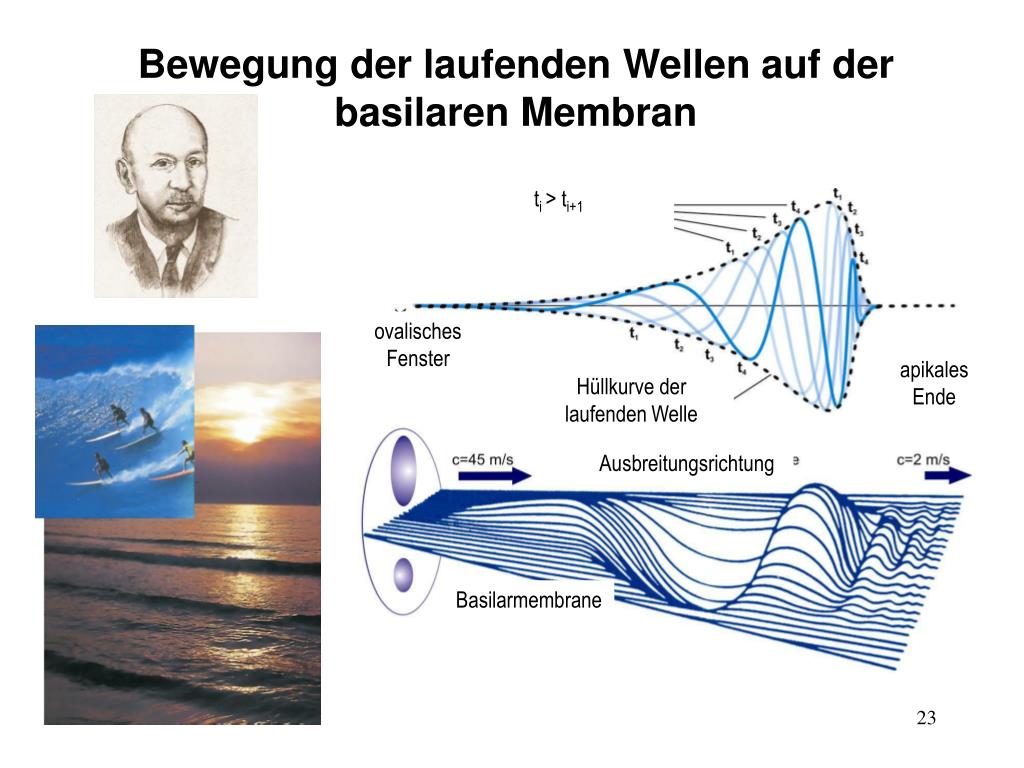 PPT Schall und Gehör PowerPoint Presentation, free