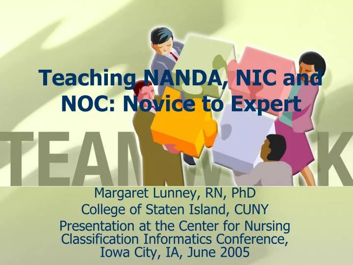 teaching nanda nic and noc novice to expert n.
