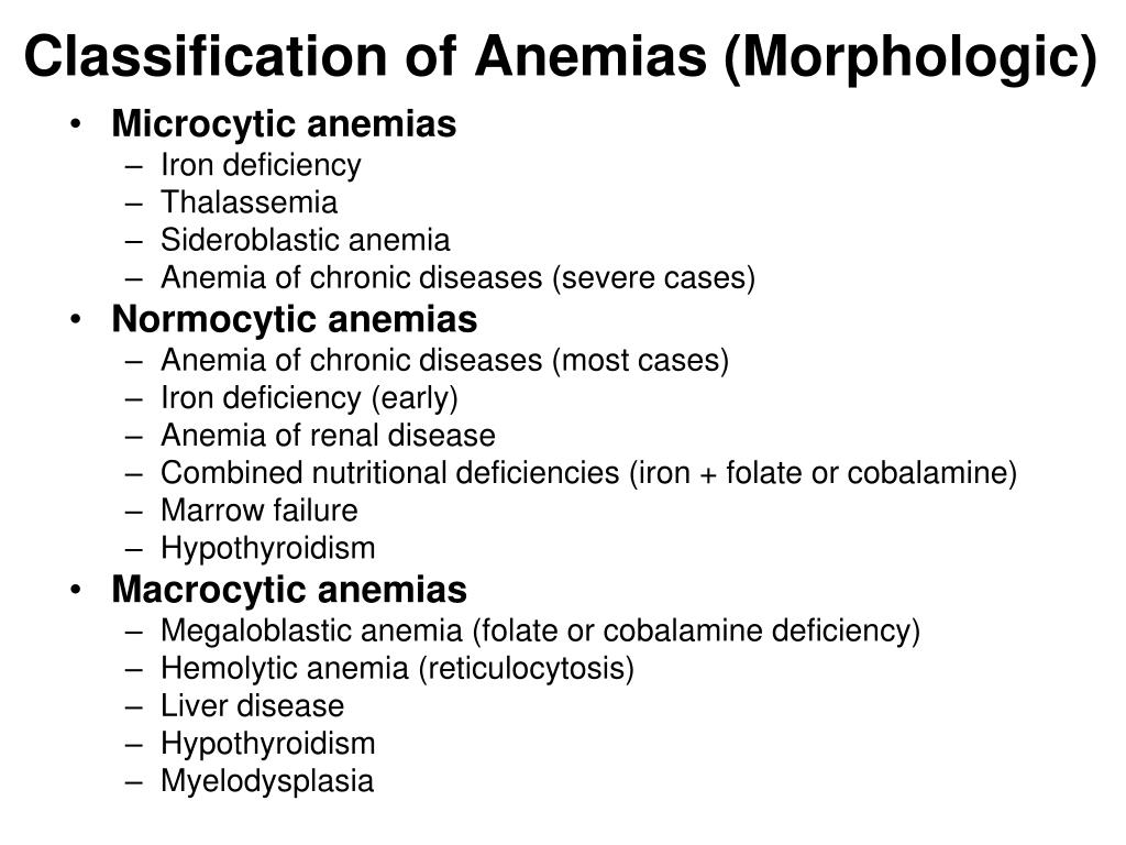 Morphological Classification Of Anemia