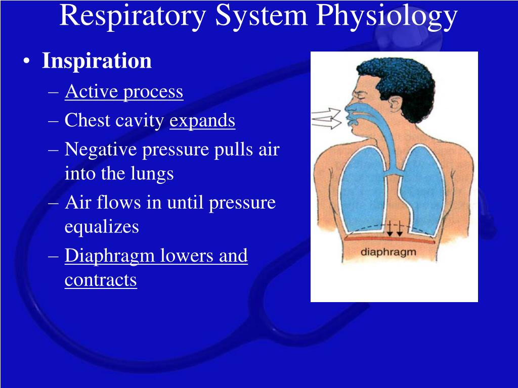 PPT - Airway Management PowerPoint Presentation, free download - ID:6395565