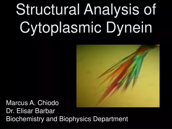 structural analysis of cytoplasmic dynein n.