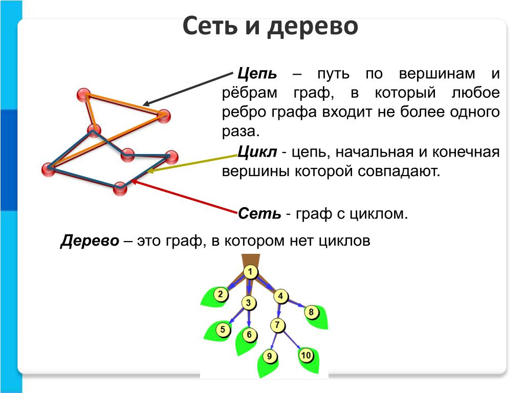 Что такое путь в графе вероятность. Дерево графа. Графы деревья. Графы сети деревья. Сеть цепь дерево.