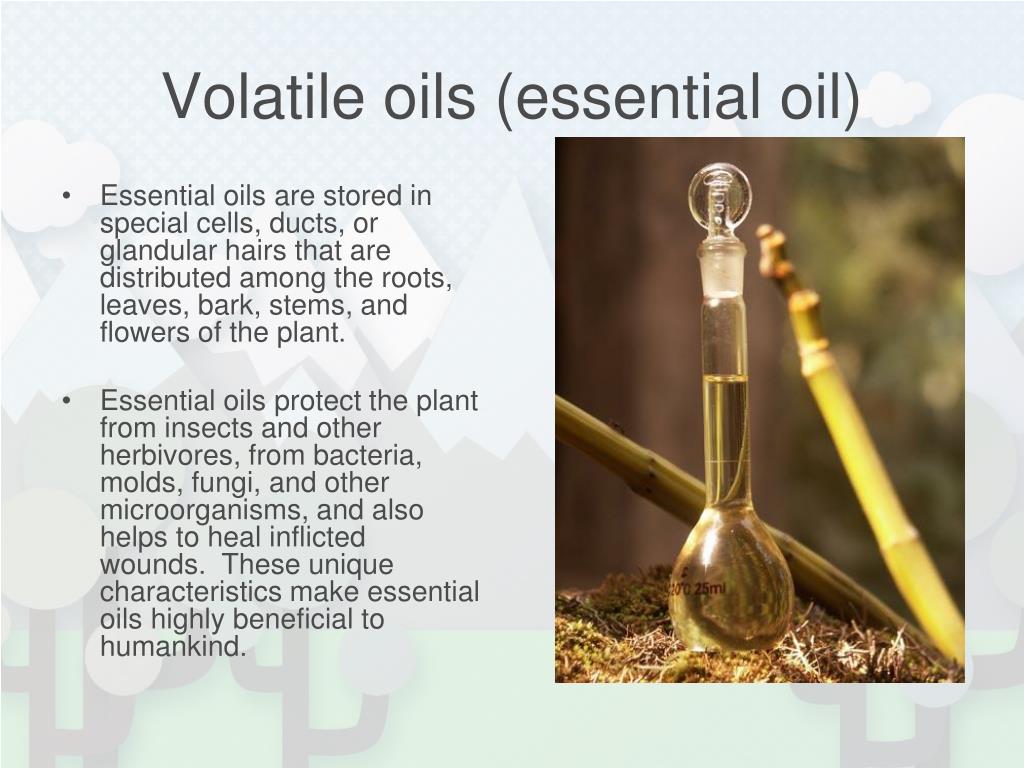 PPT Plant Defenses Vasakorn Bullangpoti, Ph.D. Email fscivkbku.ac