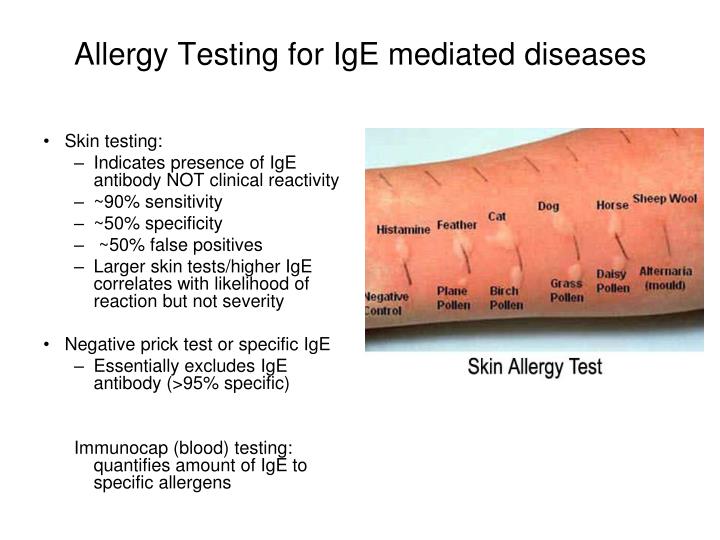 PPT - Allergy : An Overview Alyson W. Smith, M.D. Department of Allergy ...