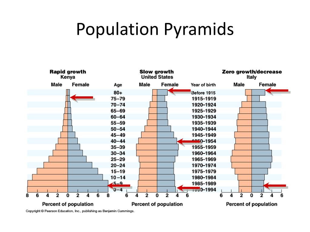 PPT - Understanding Population Pyramids PowerPoint Presentation, free ...