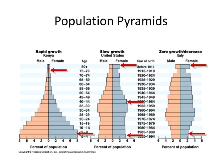 PPT - Understanding Population Pyramids PowerPoint Presentation - ID ...