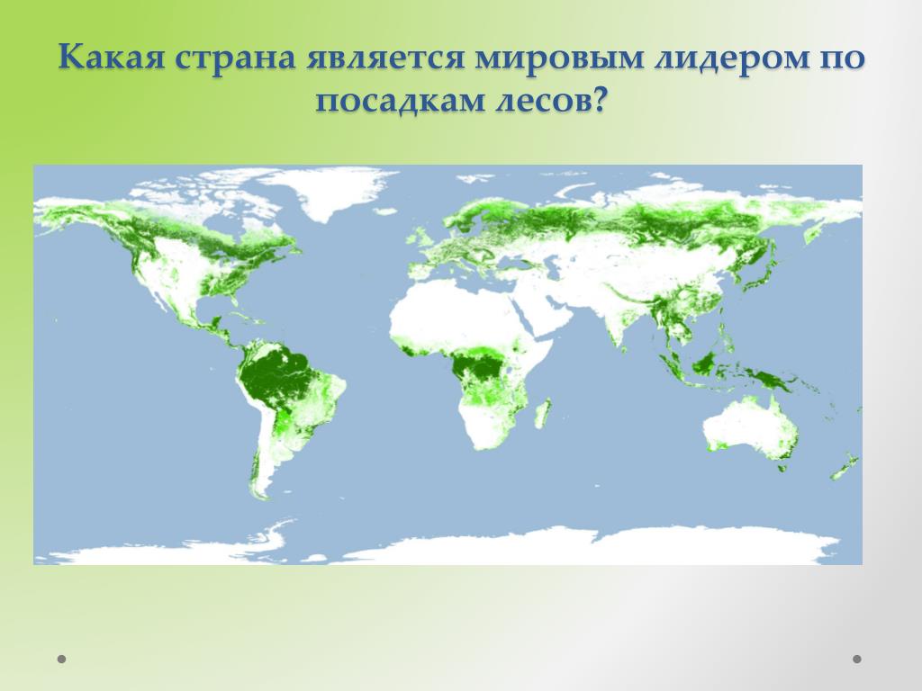 Какой является карта мир. Какая Страна является мировым лидером. Какие страны на я. Какая Страна является. Мировым лидером по лесам является.