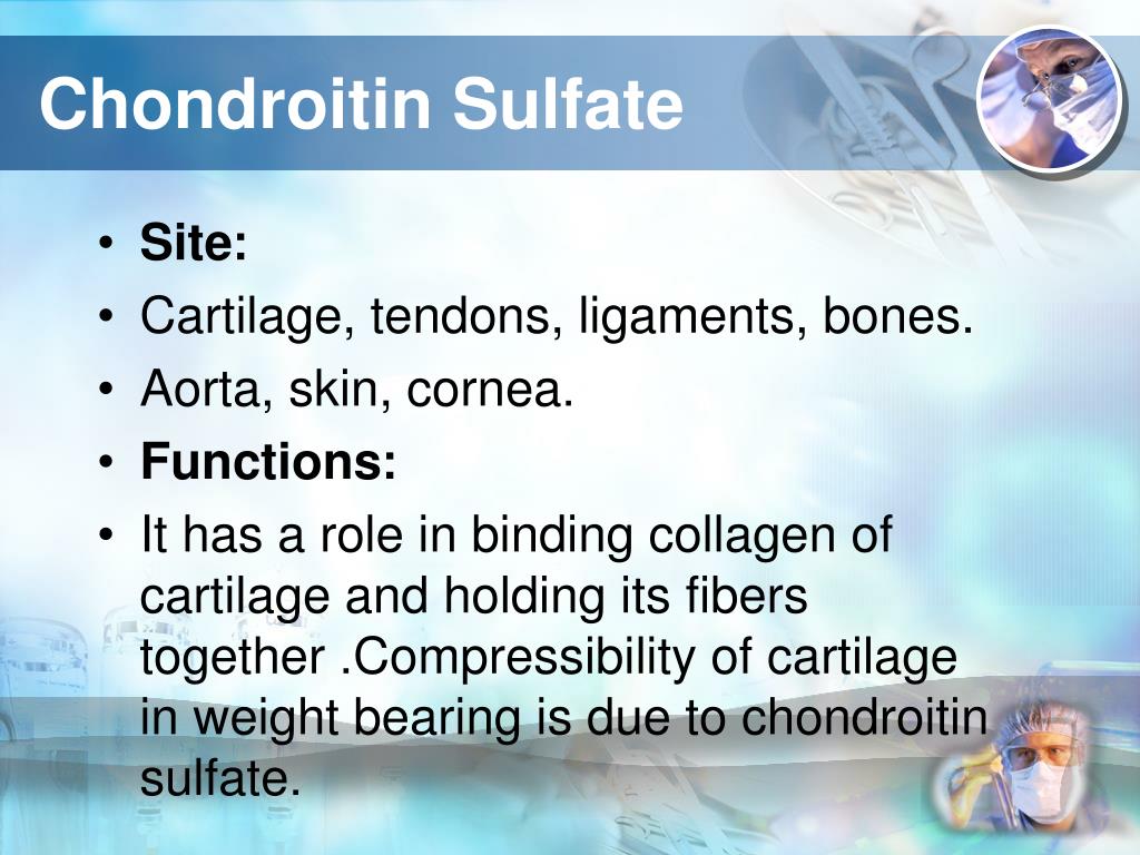 PPT Polysaccharides PowerPoint Presentation, free download ID6401053
