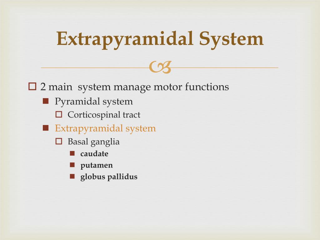 PPT - EXTRAPYRAMIDAL SYSTEM and BASAL GANGLIA PowerPoint Presentation