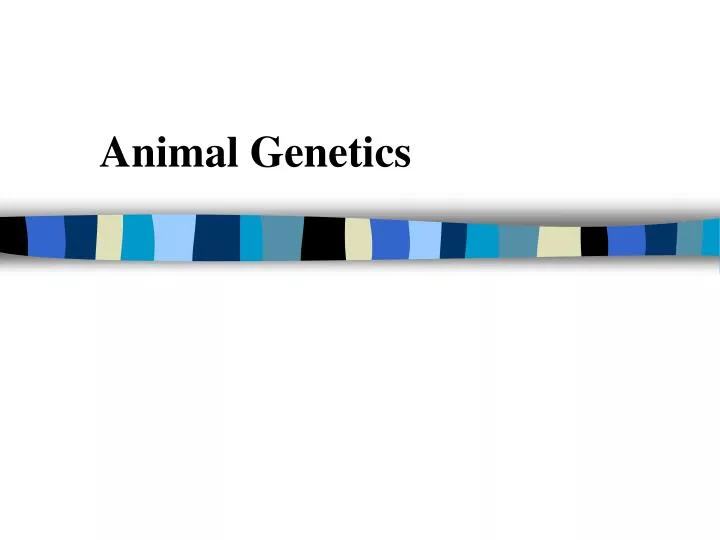 PPT Animal PowerPoint Presentation, free download ID6401759