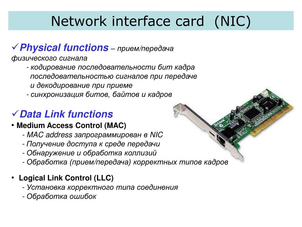 Интерфейсы сетевых карт. Сетевая интерфейсная карта. Network interface Card nic. Интерфейс. Интерфейсные карты (сетевые адаптеры).