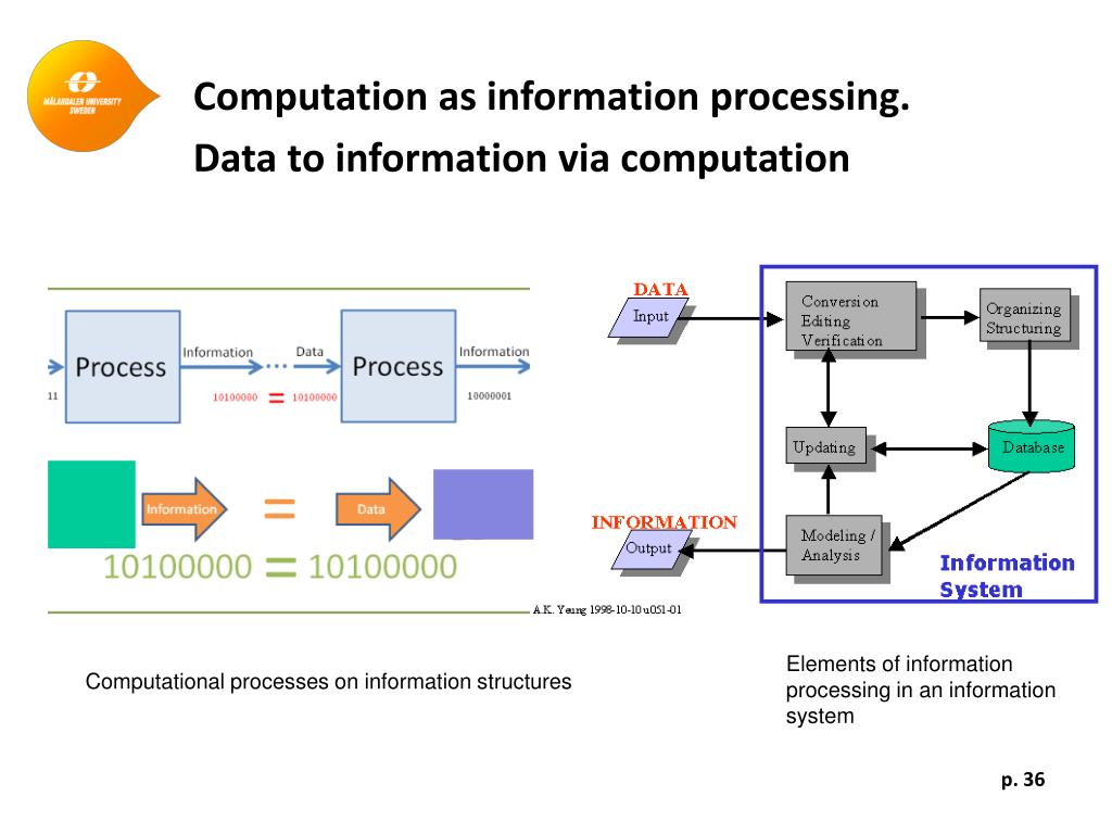 Computer process information