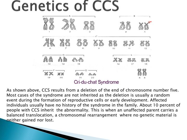 PPT Cri du Chat (“Cat’s Cry”) Syndrome PowerPoint Presentation ID6404511