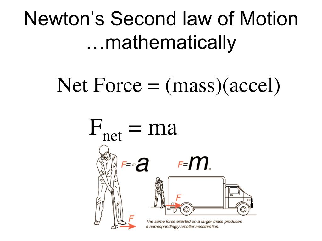 PPT - Forces and Newton’s Laws of Motion PowerPoint Presentation, free ...