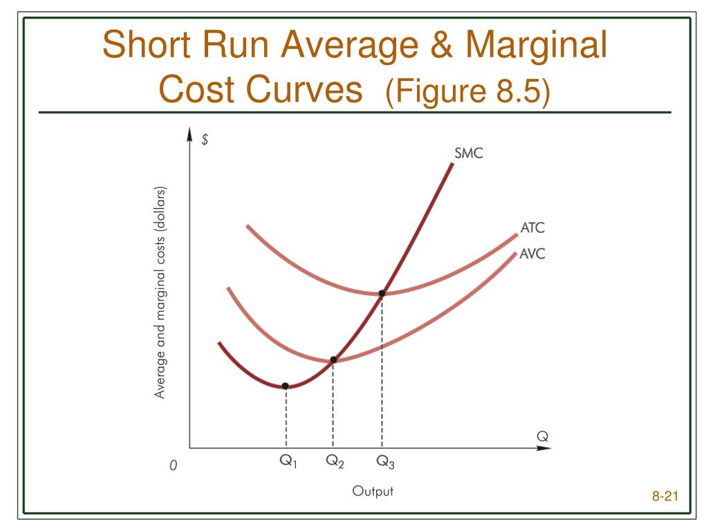 PPT - Chapter 8 Production and Cost in the Short Run PowerPoint  Presentation - ID:6406299