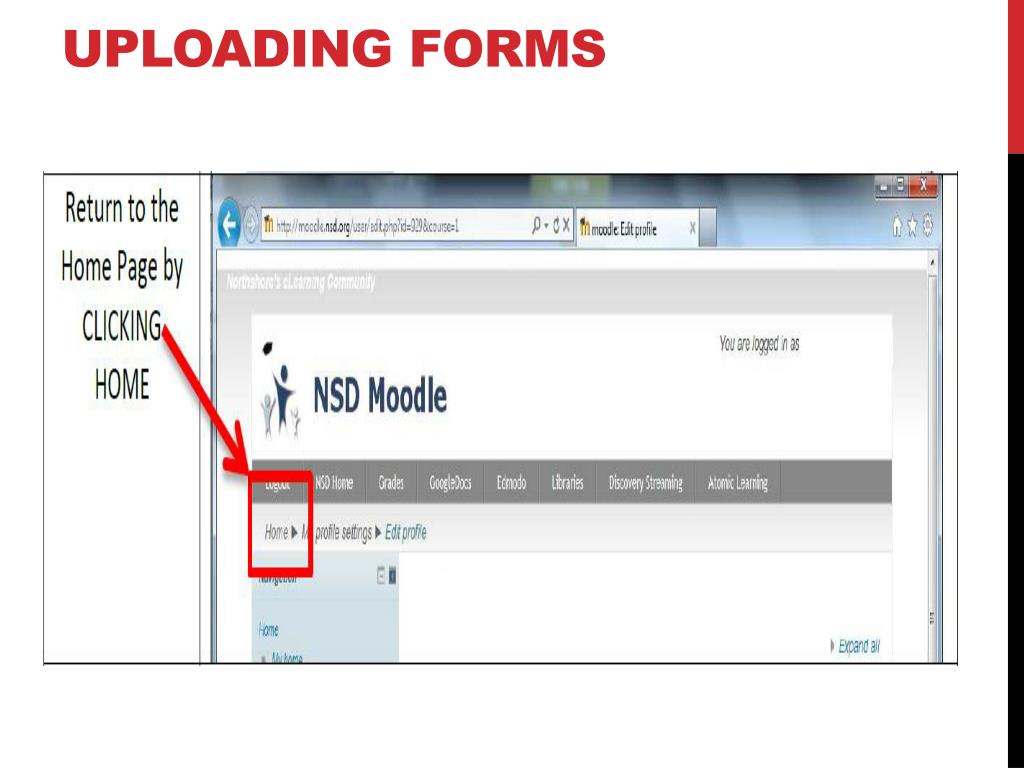 PPT - National Honor Society PowerPoint Presentation, free download ...