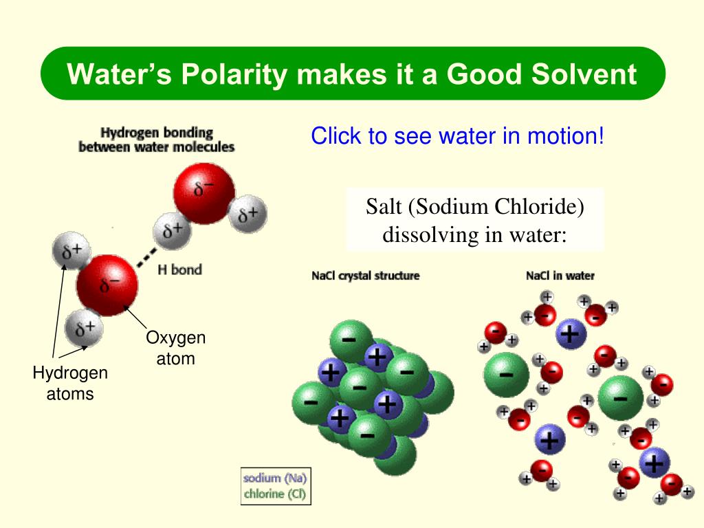 PPT Biological Molecules PowerPoint Presentation, Free Download ID 