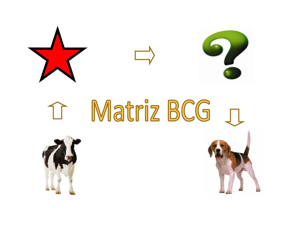 PPT - Matriz BCG PowerPoint Presentation, free download - ID:6409102