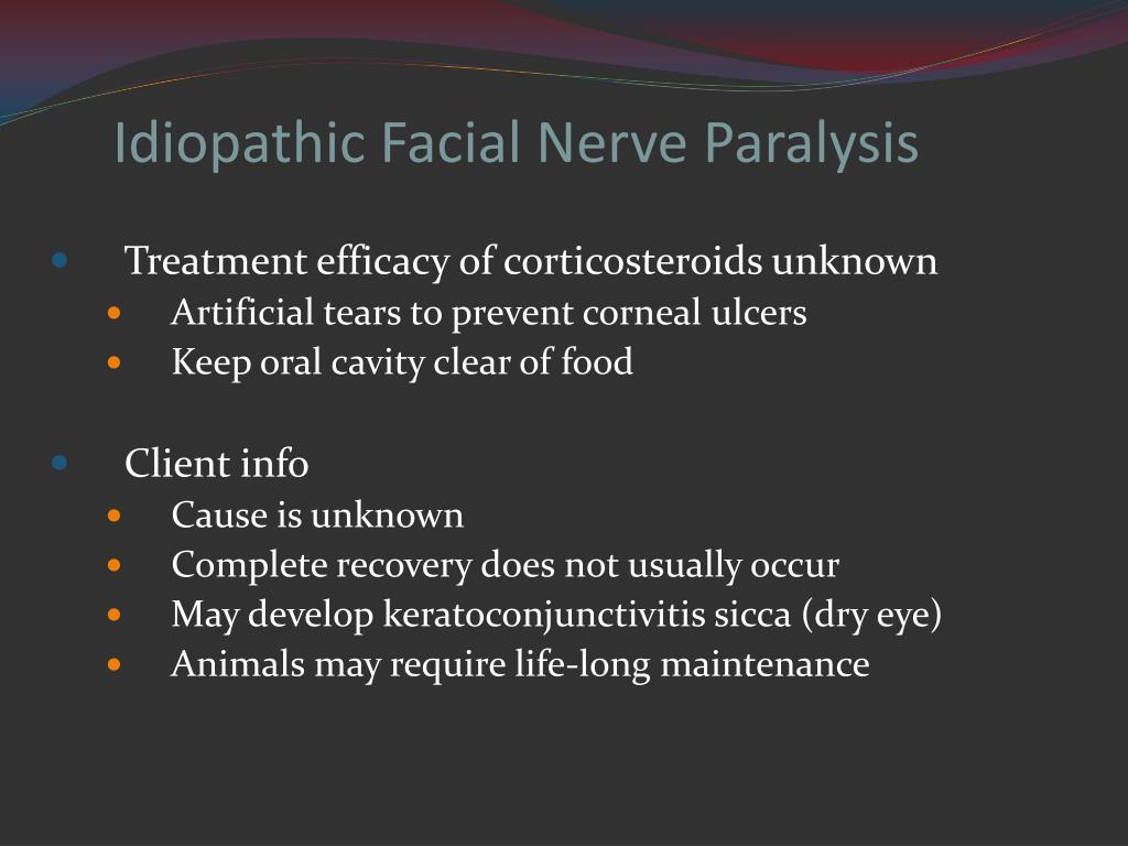 cocker paralysis spaniel Idiopathic nerve facial
