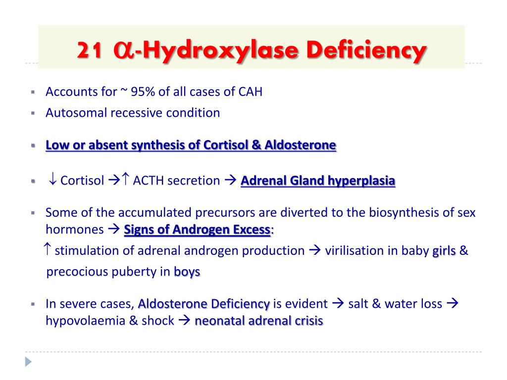 PPT - Steroid Hormones PowerPoint Presentation, free download - ID:6410063
