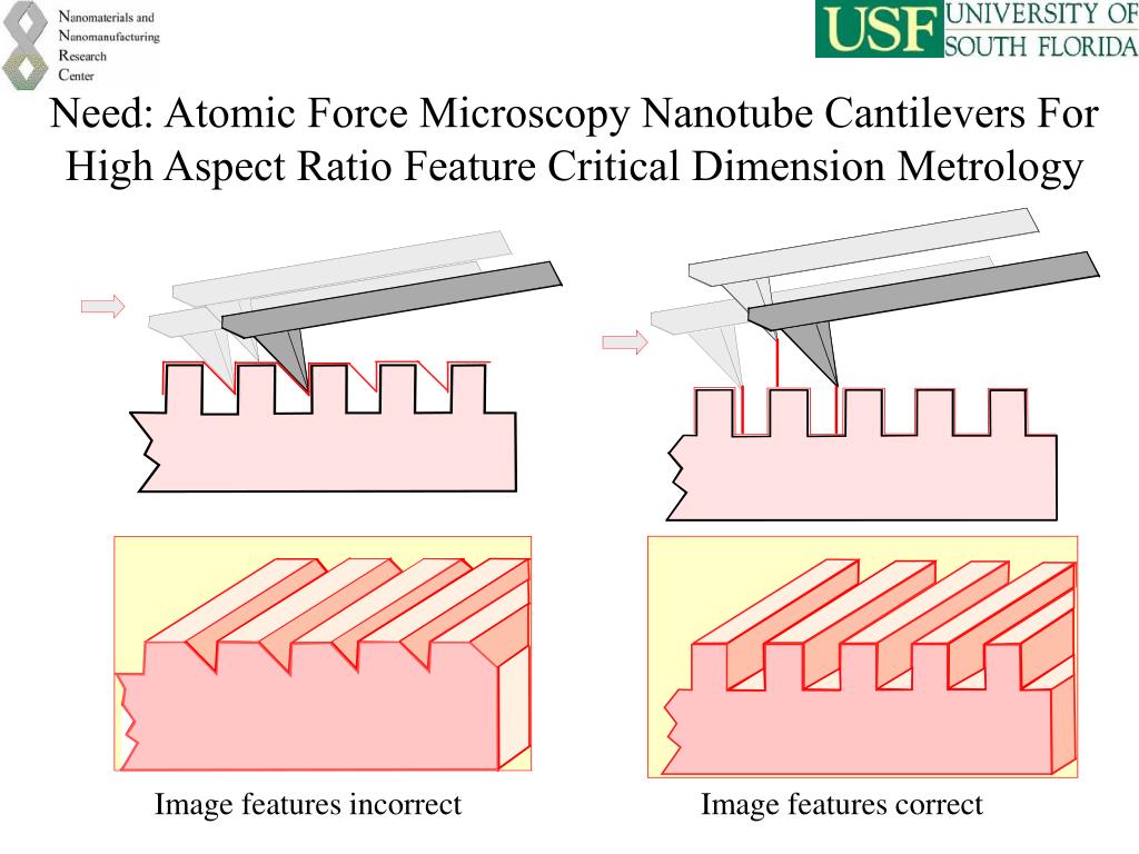 PPT - Manufacture of High Aspect Ratio Carbon Nanotube Atomic Force ...