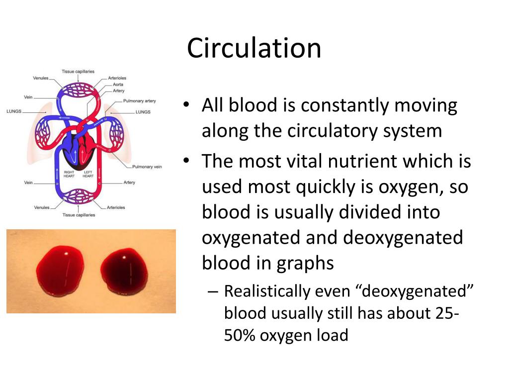 PPT - Heart and Blood Vessels PowerPoint Presentation, free download ...